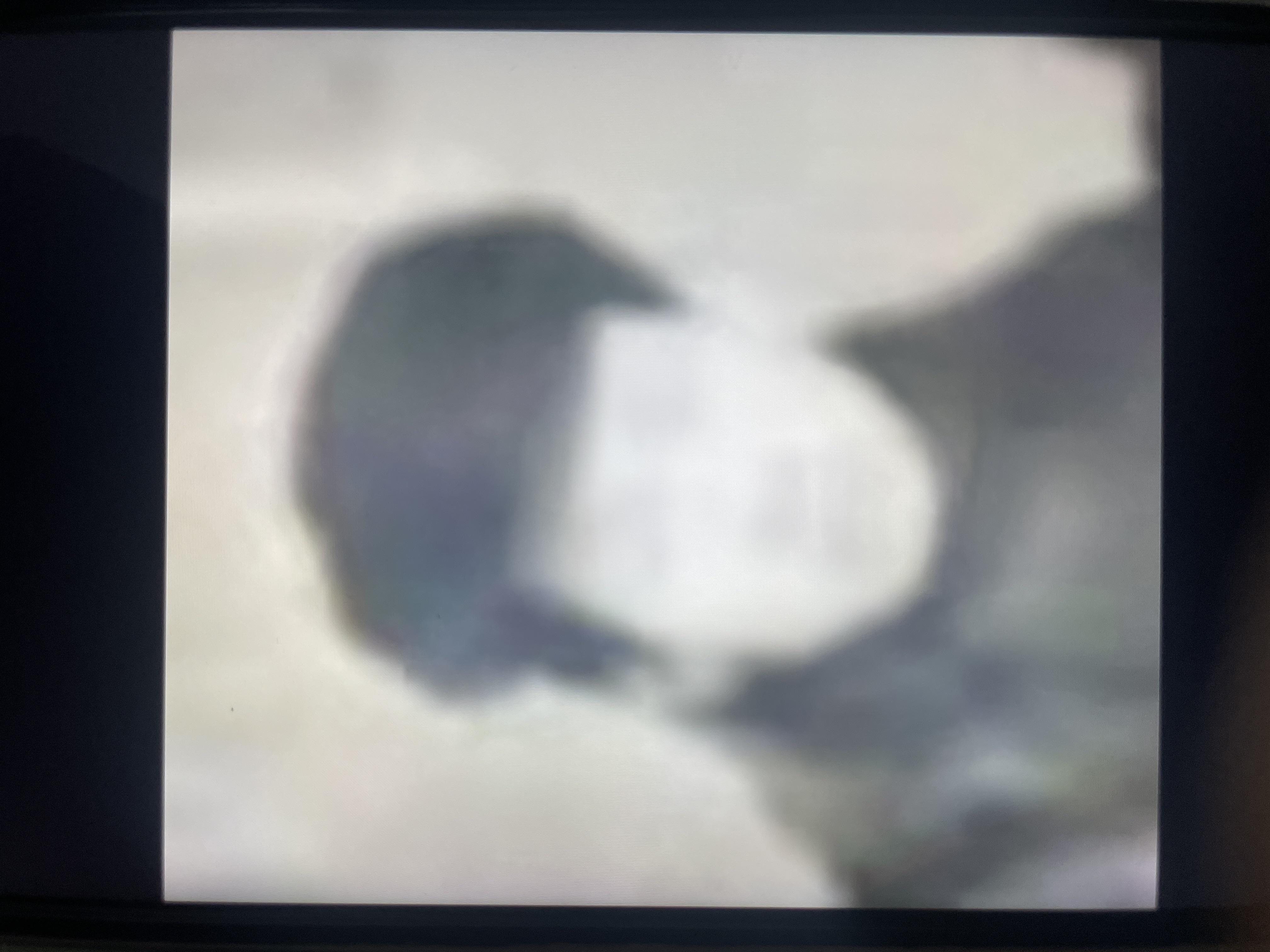赵乃堃网上纪念馆封面照片