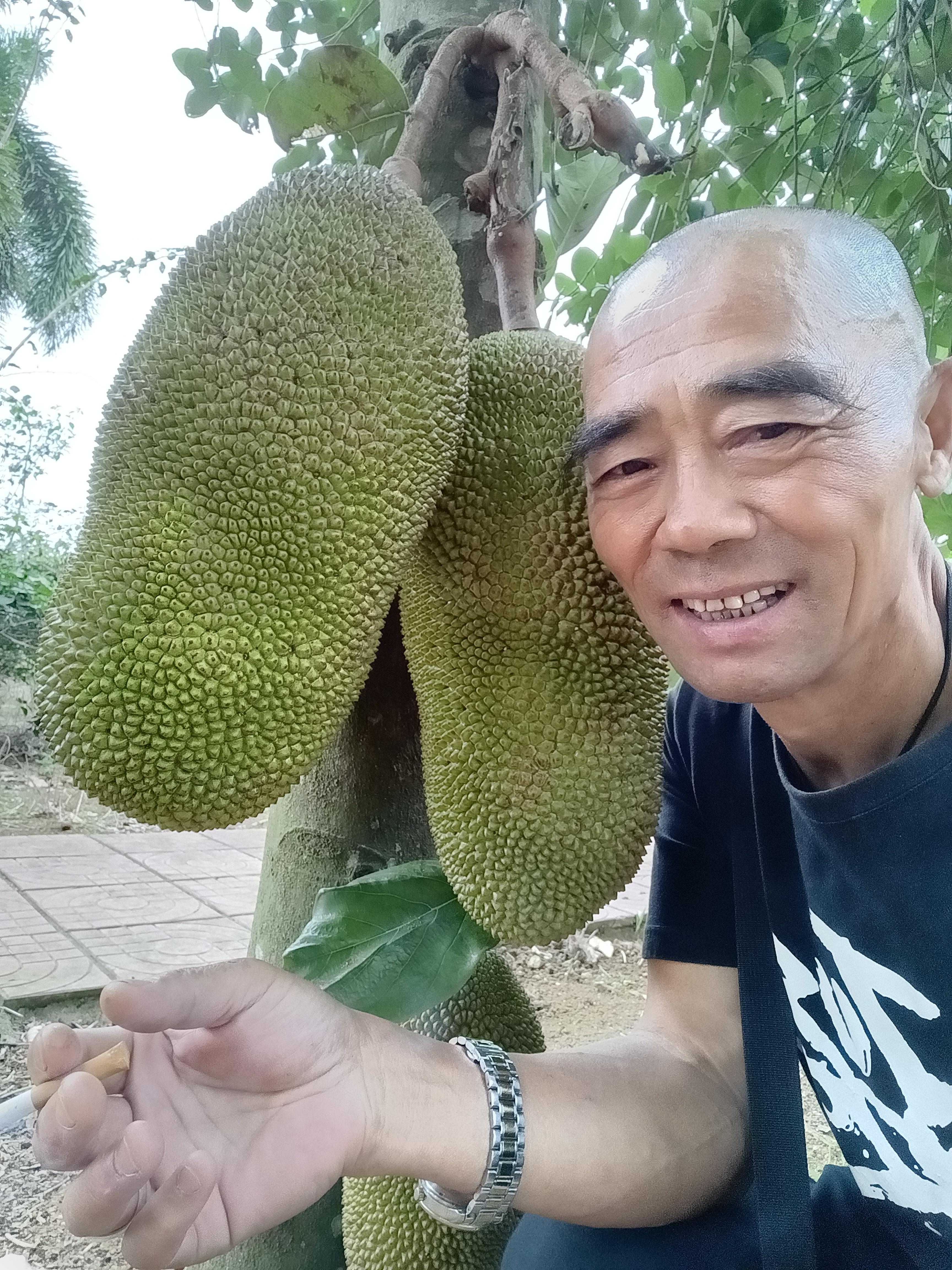 陈良昌纪念馆照片