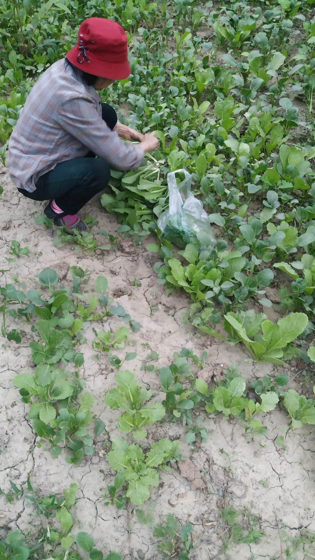 吴三会纪念馆照片