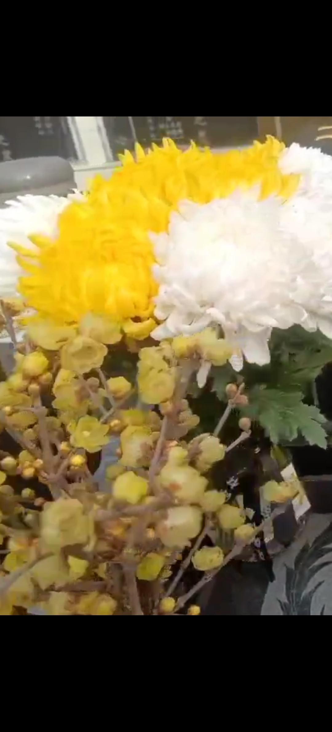 杨宗政纪念馆照片