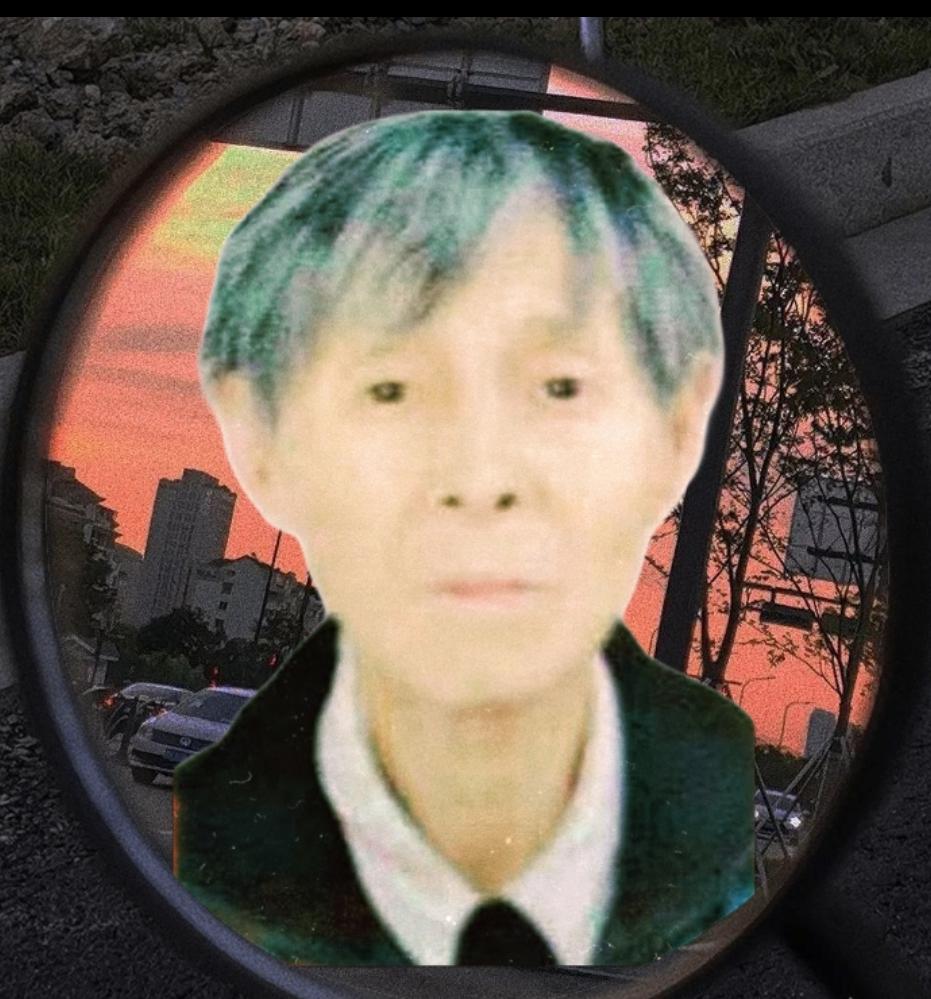 陈素娥网上纪念馆封面照片