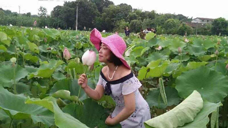 胡练红纪念馆照片
