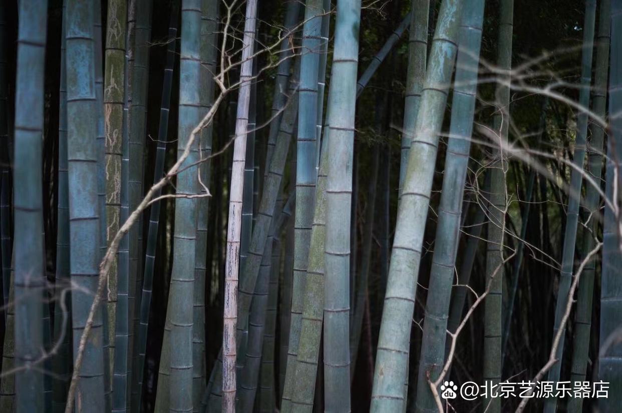 姚忠岫网上纪念馆封面照片