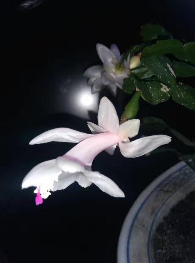 滕先民纪念馆照片