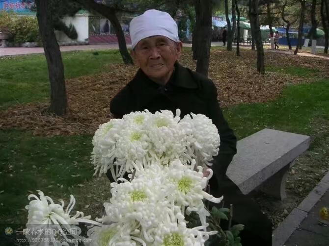 白凤珍纪念馆照片
